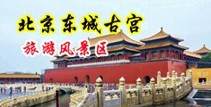 爽爽爽A及黄色视频免费看中国北京-东城古宫旅游风景区
